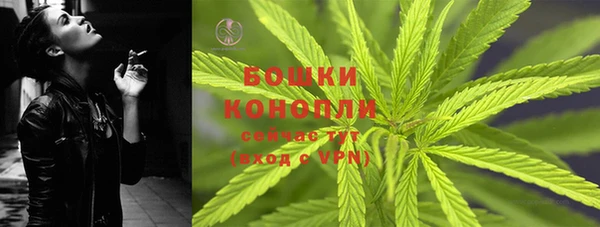 прущая мука Дмитриев