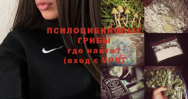 амф Дмитровск