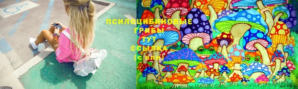 прущая мука Дмитриев